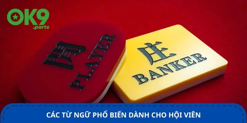 Toàn Bộ Thuật Ngữ Baccarat Tại Ok9 – Tân Thủ Không Nên Bỏ Lỡ 2 cac-tu-ngu-pho-bien-danh-cho-hoi-vien