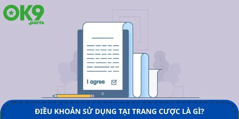 Điều khoản sử dụng 1 dieu-khoan-su-dung-tai-trang-cuoc-la-gi